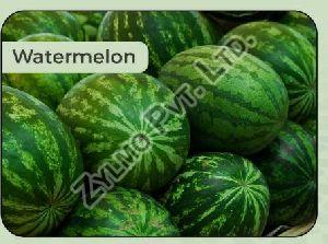 fresh watermelon