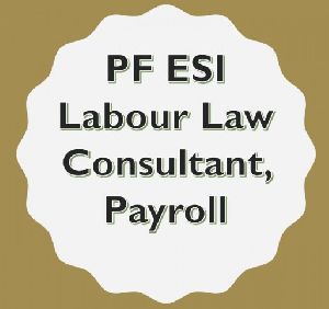 PF Consultancy Service