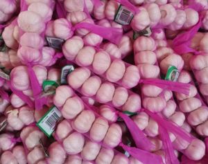 Organic fresh garlic, Color : WHITE for Cooking, Oil Extraction