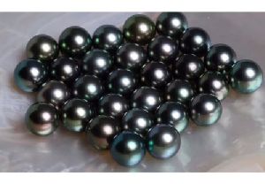 Black Tahitian Pearls