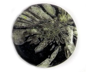 Chrysanthemum Jasper Semi Precious Stone