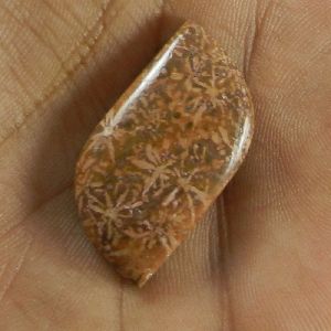 MUSHROOM JASPER Semi Precious Stone