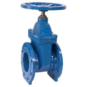 gate valve