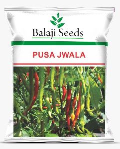 BS Tejasri Red Chilli Seeds