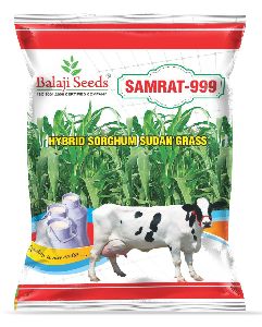 F1 Samrat 999 Sorghum Seeds, Packaging Type : Plastic Packet