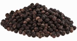 Paper & Paper Products