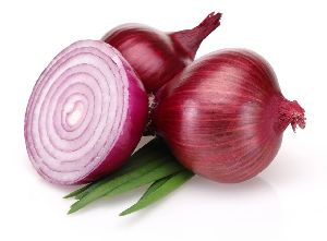 Fresh Onion, Shelf Life : 15-30days