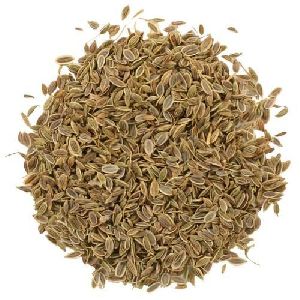 Dill Seeds