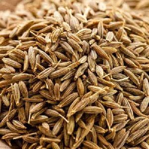 cumin seeds