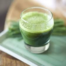 wheatgrass juice