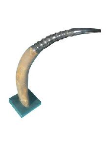 13 Inch Buffalo Drinking Horn