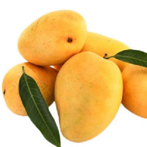 banganapalli mangoes