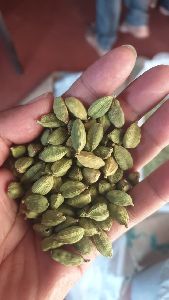 cardamom