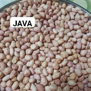 Java Groundnut Kernels