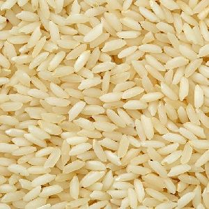 Organic Sona Masoori Basmati Rice, Shelf Life : 1Year