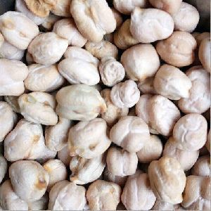 White Chickpeas