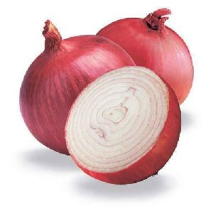 Organic Fresh Onion, For Snacks, Fast Food, Cooking, Packaging Type : Net Bags