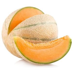 fresh muskmelon