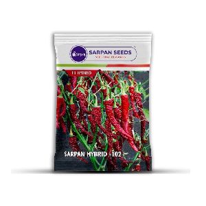 Sarpan 102 chilli seeds