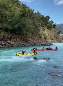 River Rafting in Rishikesh - Camp Brook