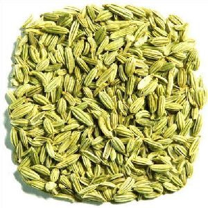 fennel seeds