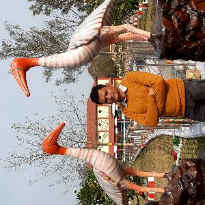 FRP HANS/ Saras bird statue set