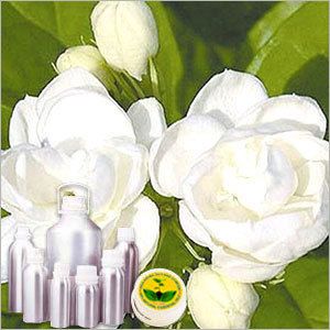 jasmine oil