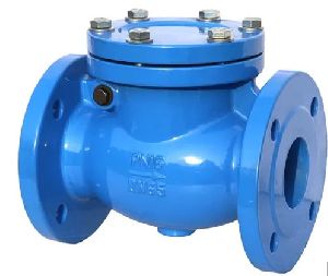 Swing Check Valve