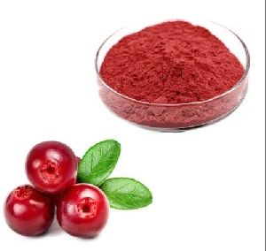 Spray Dried Cranberry Powder