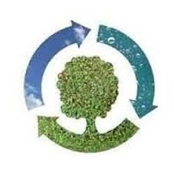 environmental impact assessment services