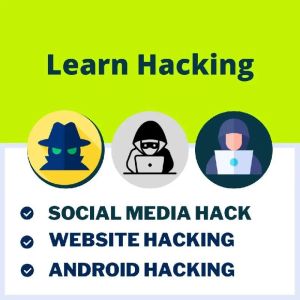 learn ethical hacking