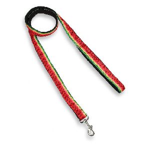 Dog Leash with Padded Handle