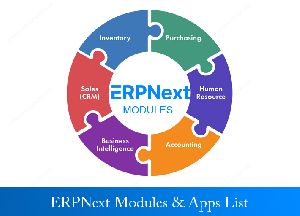 ERPNext Customization Services