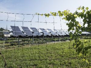 Solar Farm Fencing Service