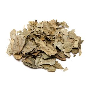 Dried Curry Patta Leaves