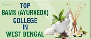 bams degree colleges