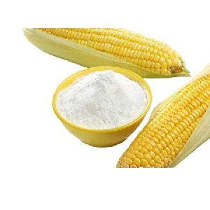 maize starch