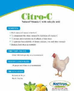 Natural Vitamin C with salicylic Acid