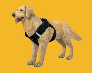 BFF Air Mesh Harness with Reflector Band