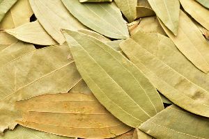 Dried Bay Leaf