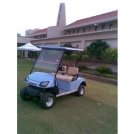 Two Seater Golf Carts