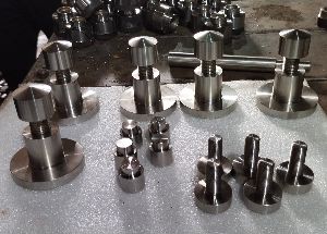 Stainless Steel Nuts