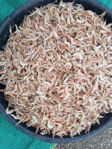 dried prawns