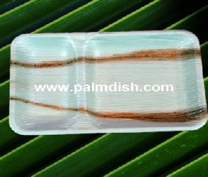 10 Inch Partition Palm Leaf Rectangular Platter