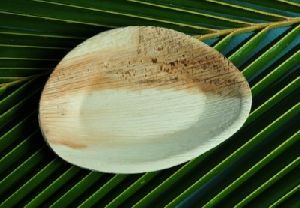 6.5 Inch Palm Leaf Oval Platter