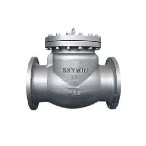 Casted Check Valve