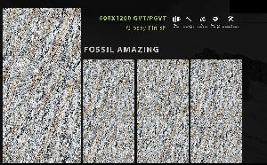 600x1200 Mm Fossil Series Glossy GVT/PGVT Tiles