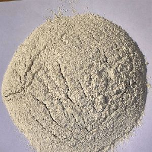 Activated Bleaching Earth Powder