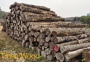 Tinsa wood logs