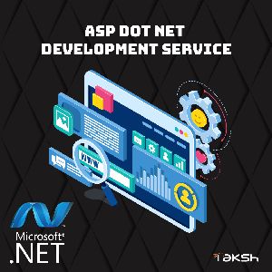 asp dot net development service